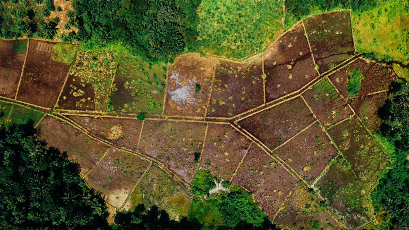 Aerial view of farmland in regional Victoria